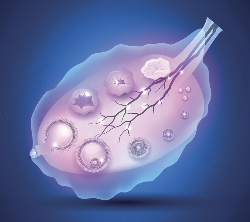 朔州三代试管婴儿医院排名出炉，附技术服务介绍